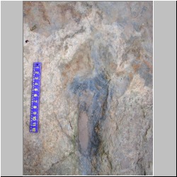 100_1666 (2009-07-29s)mod2.JPG